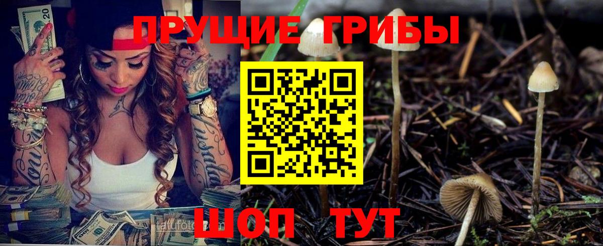 Псилоцибиновые грибы Psilocybe Строитель