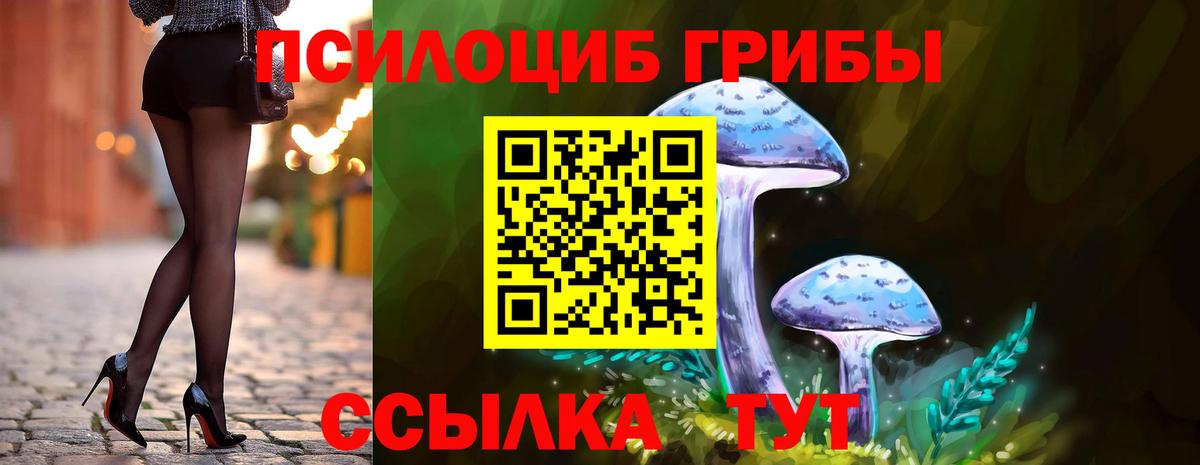 Строитель  Галлюциногенные грибы Psilocybe  Вход с VPN 