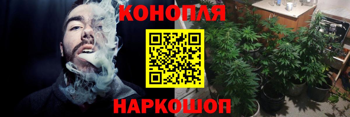 Строитель  Бошки марихуана THC 21%  Вход с VPN  Марихуана сатива  Шишки марихуана план 
